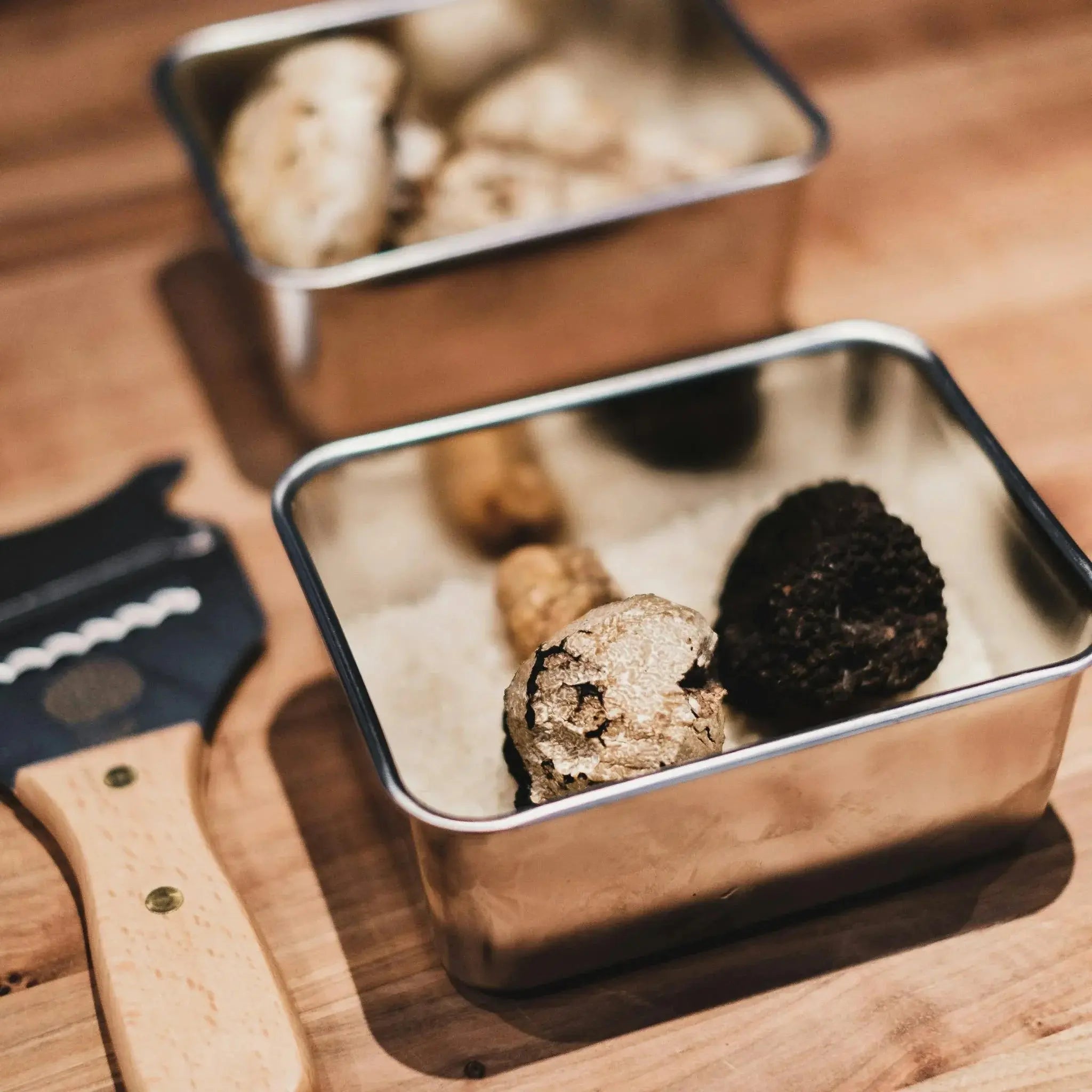 truffle in a plate