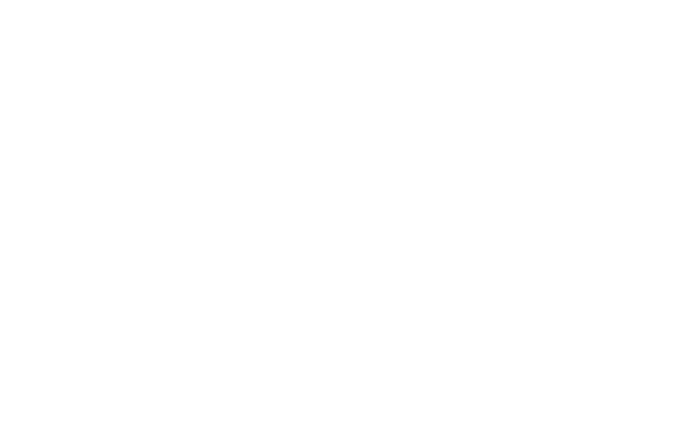 Made With Passion Logo White RGB